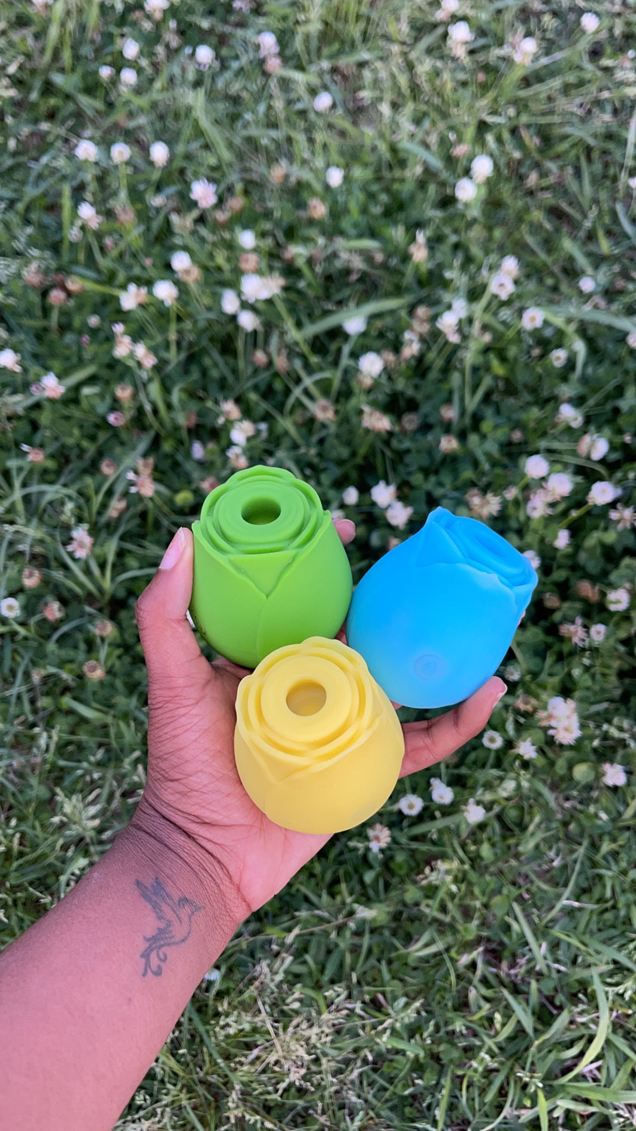 Rainbow Rose(s)