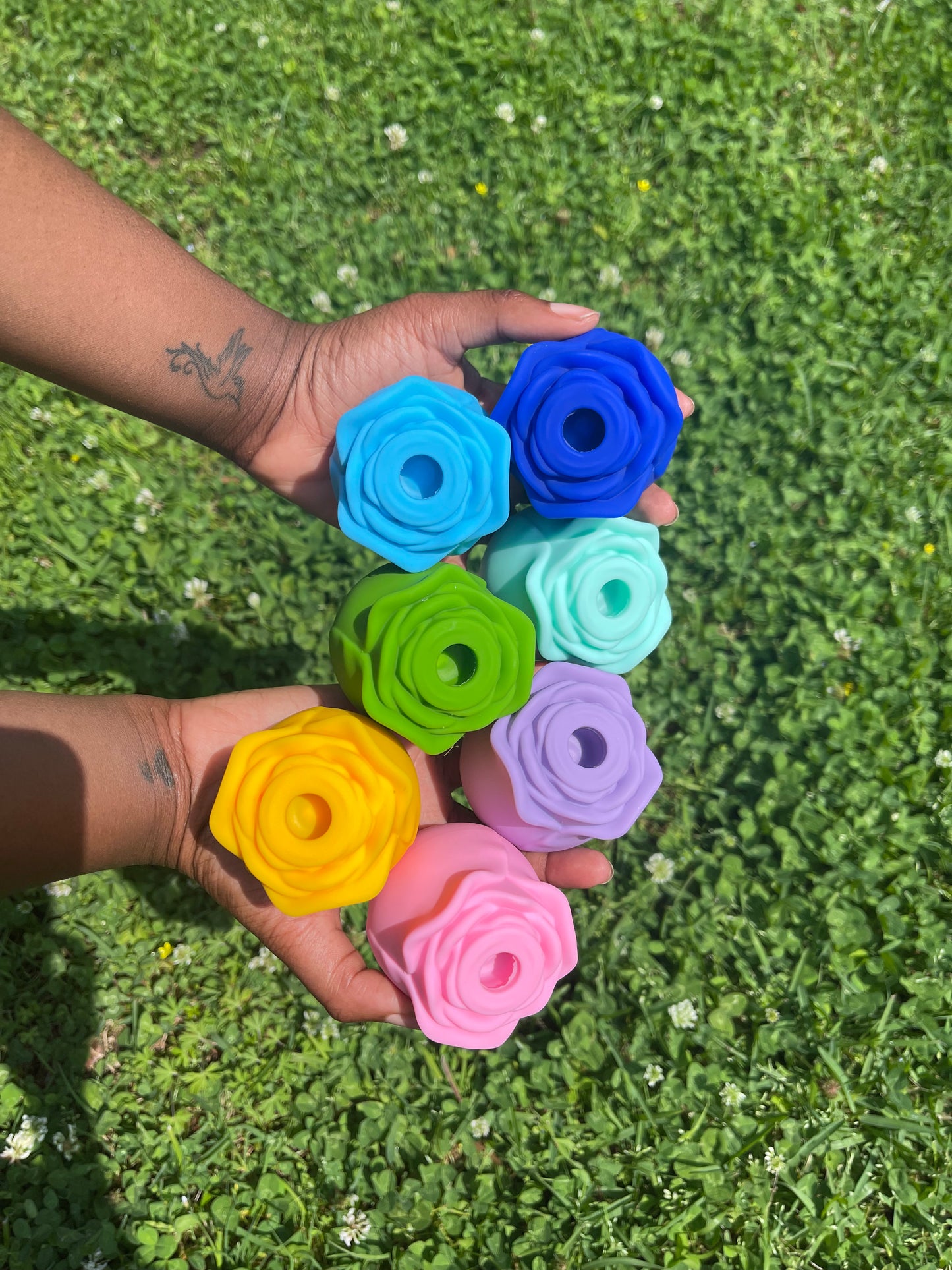 Rainbow Rose(s)